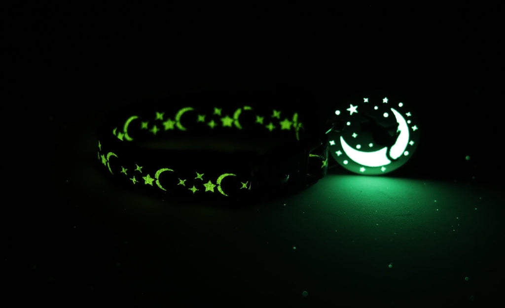 ירחים וכוכבים כסופים על קולר חתול כחול